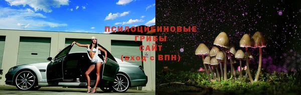 винт Дмитриев
