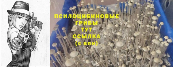 винт Дмитриев
