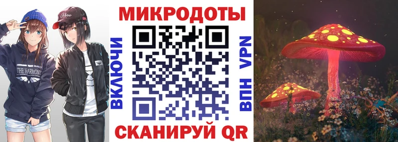 Галлюциногенные грибы ЛСД  shop какой сайт  Новоржев 